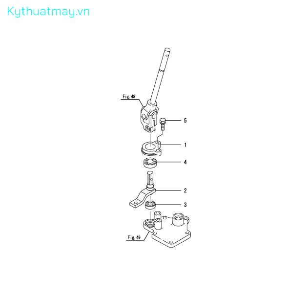 Liên kết đảo chiều